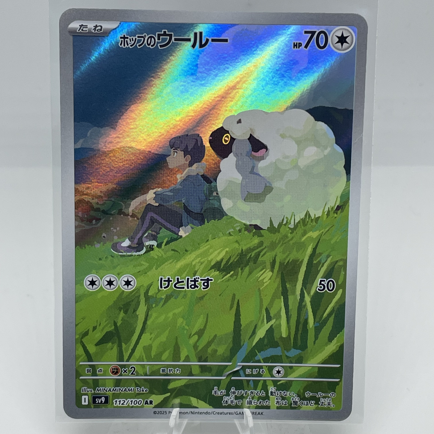 Hop's Wooloo 112/100