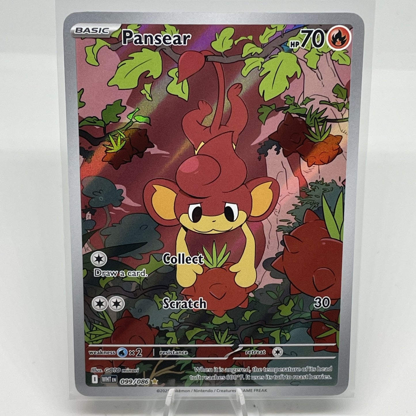 Pansear - 099/086