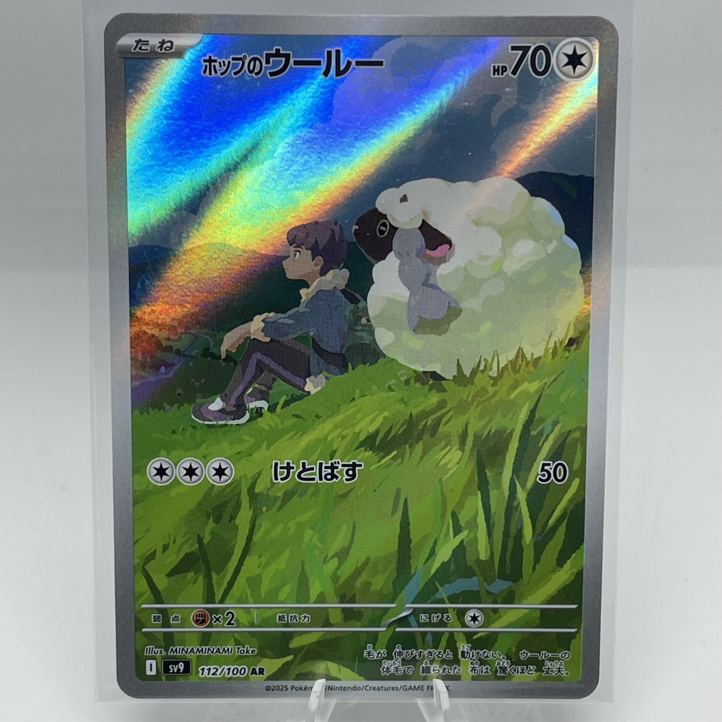 Hop's Wooloo 112/100