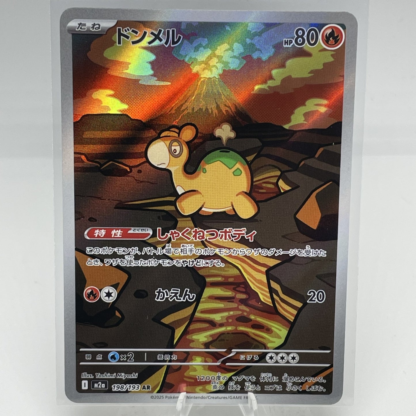 Numel 198/193