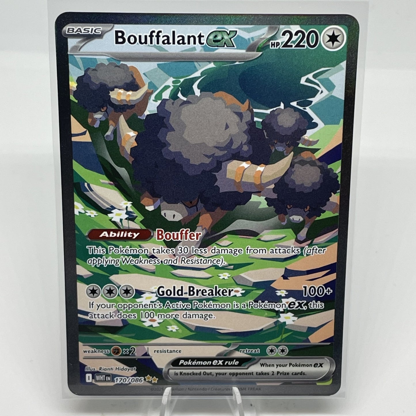 Bouffalant ex - 170/086