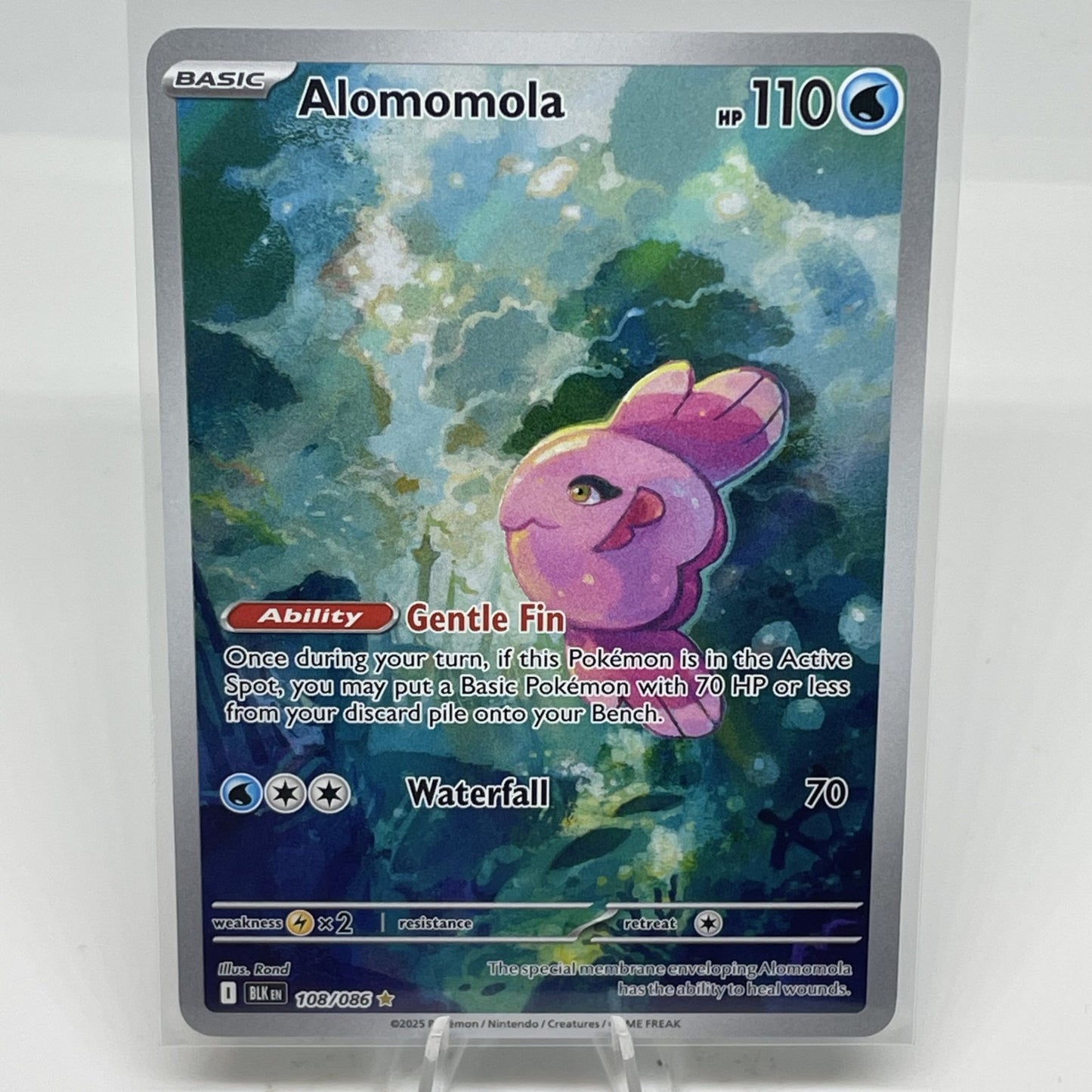 Alomomola - 108/086