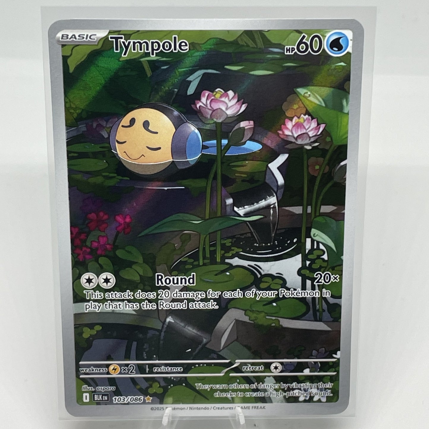Tympole - 103/086