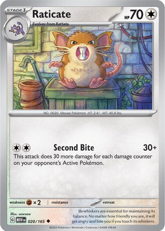 Raticate - Reverse Holo
