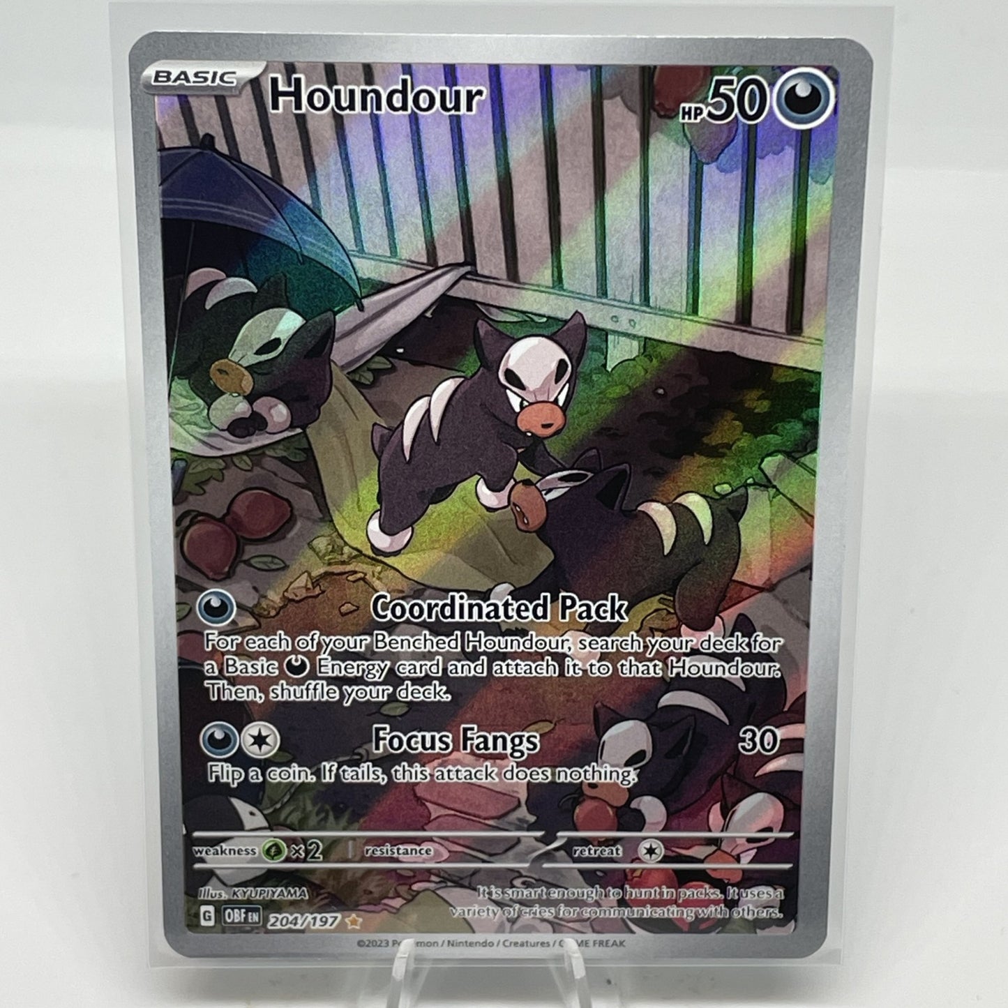 Houndour - 204/197