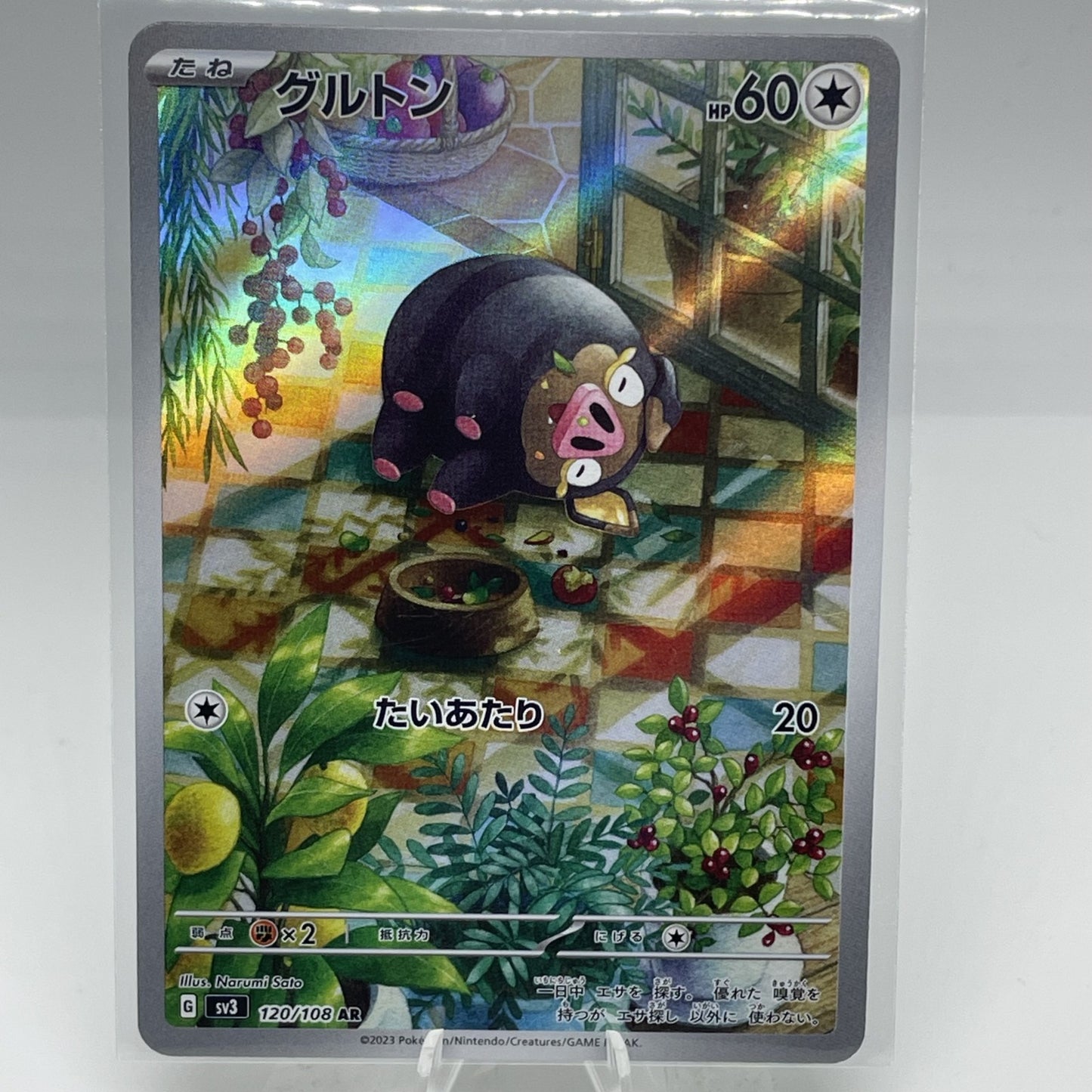 Lechonk 120/108