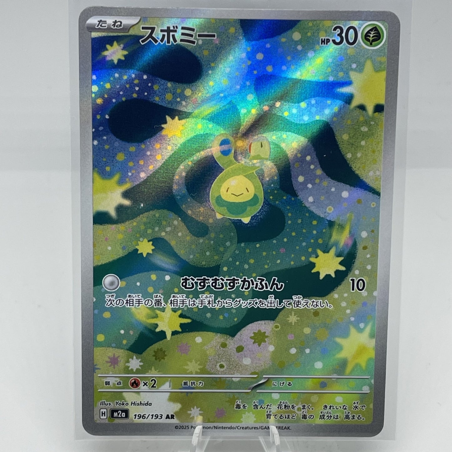 Budew 196/193