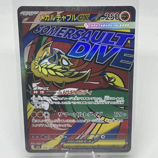 Mega Hawlucha ex - 229/193