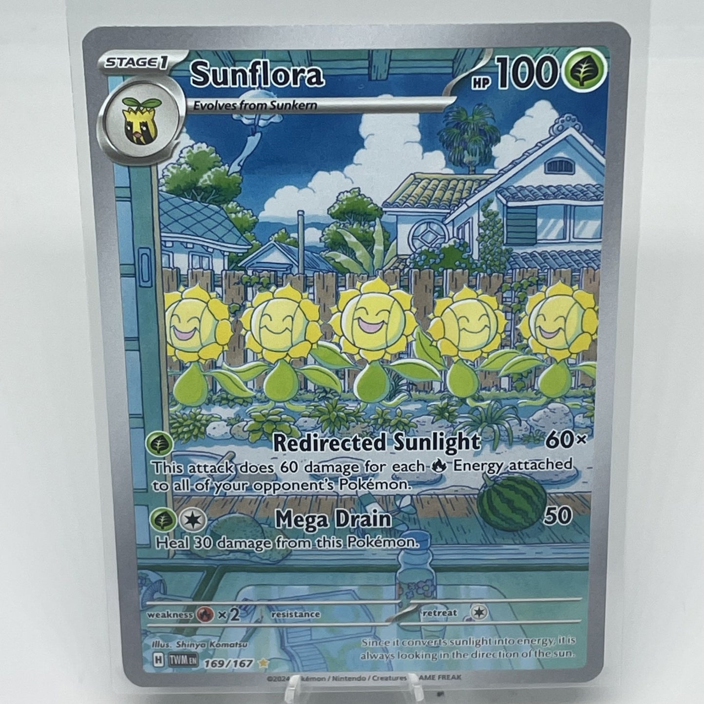 Sunflora - 169/167