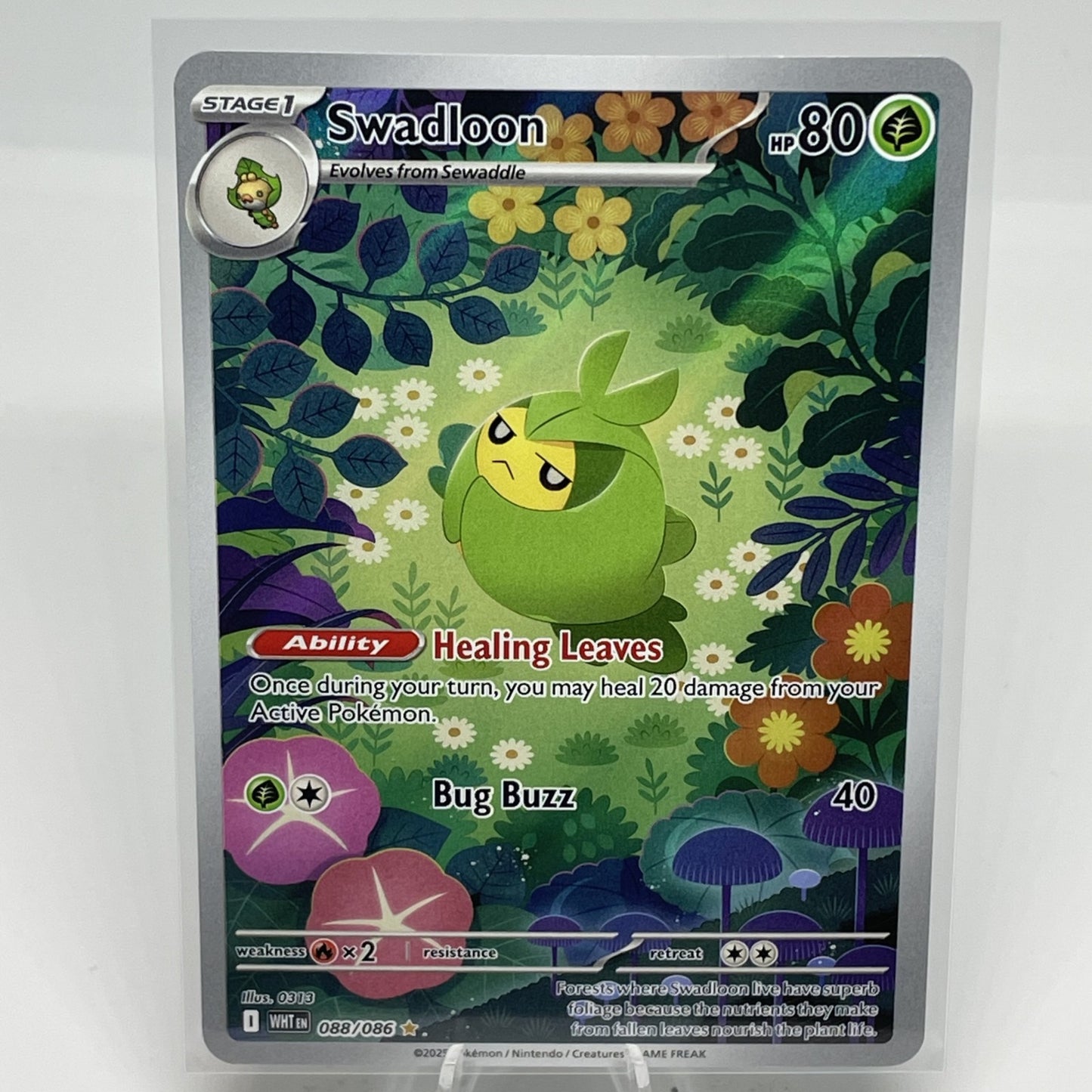 Swadloon - 088/086