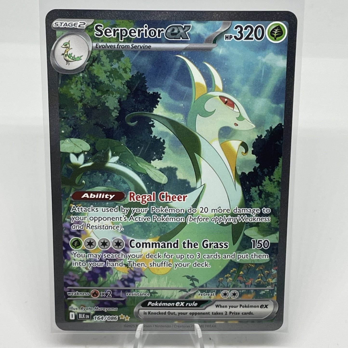 Serperior ex - 164/086